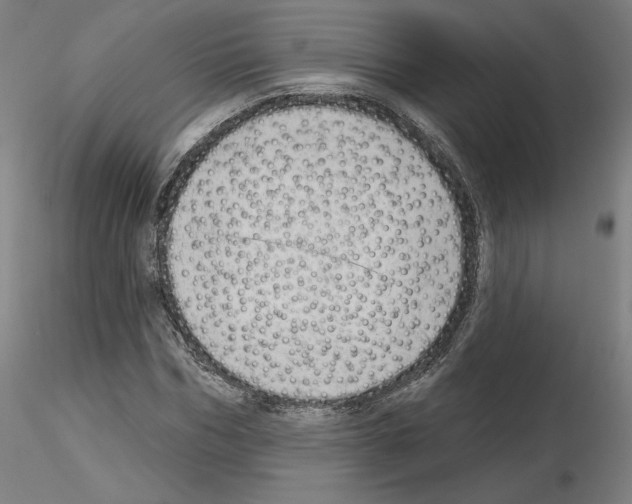 X0000115630970200912221246