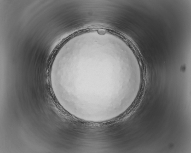 X0000115630973200912221245