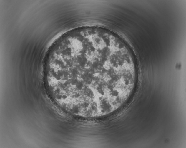X0000115630975200912221245
