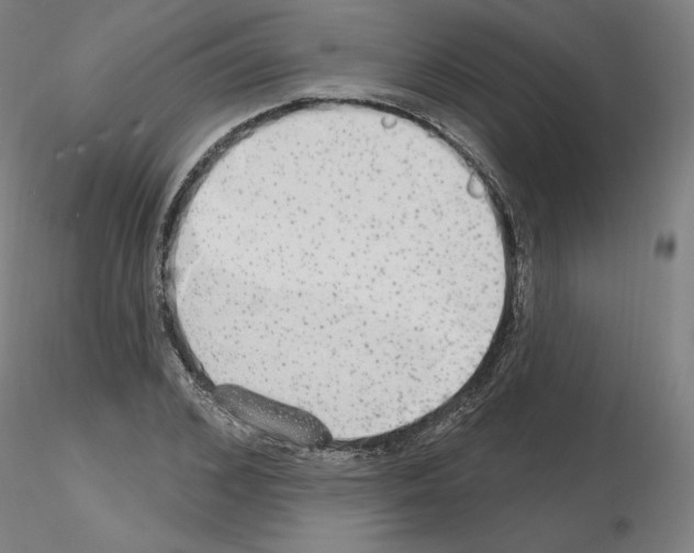 X0000115630976200912221245