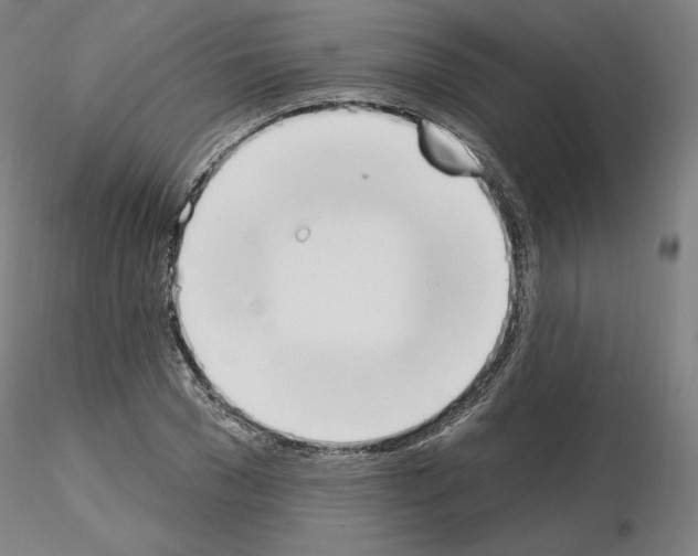 X0000115630977200912221245