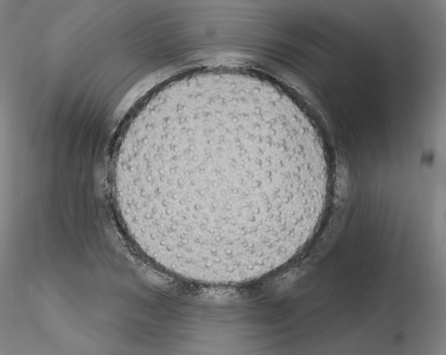 X0000115630978200912221245