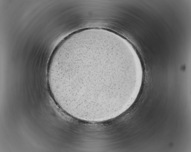 X0000115630980200912221245