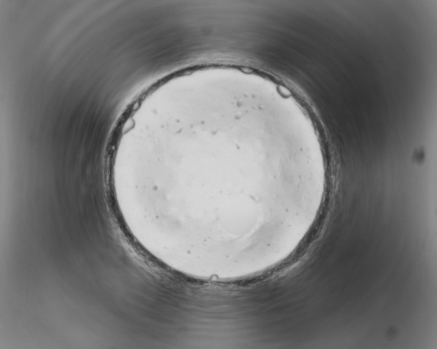 X0000115630981200912221245