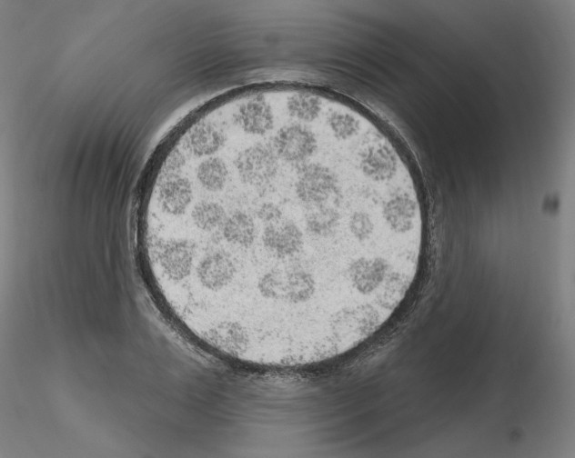 X0000115630983200912221245