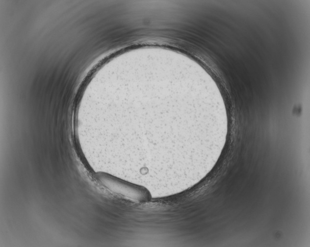 X0000115630984200912221245