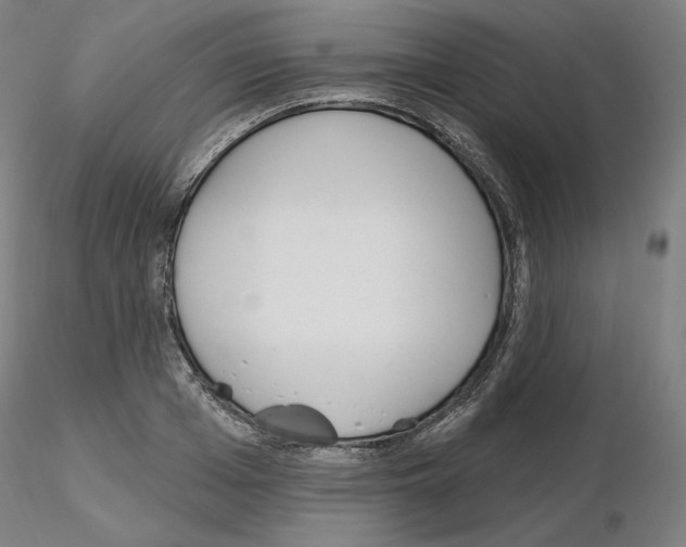 X0000115630985200912221245