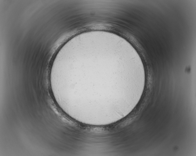 X0000115630986200912221245