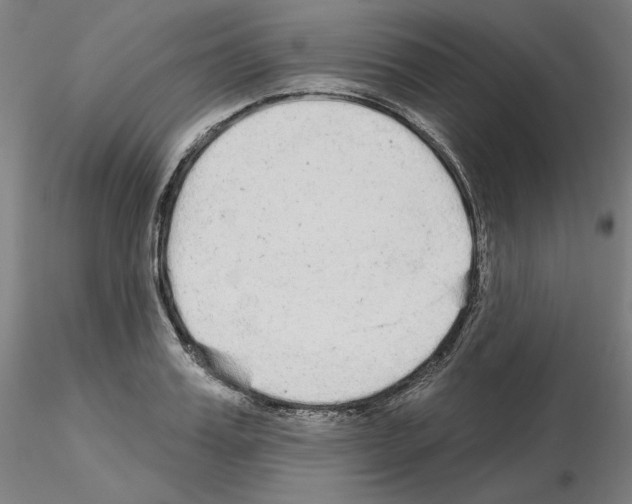 X0000115630987200912221245
