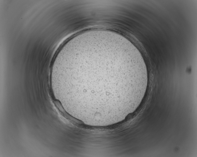 X0000115630988200912221245