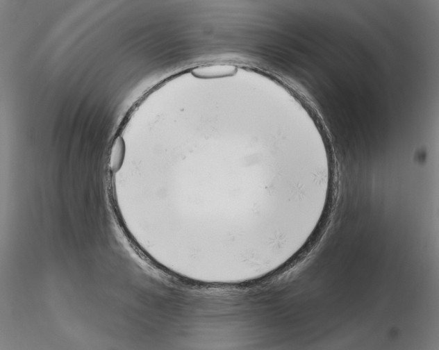 X0000115630989200912221245