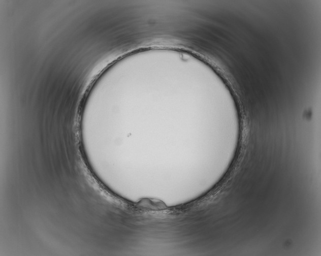 X0000115630990200912221245