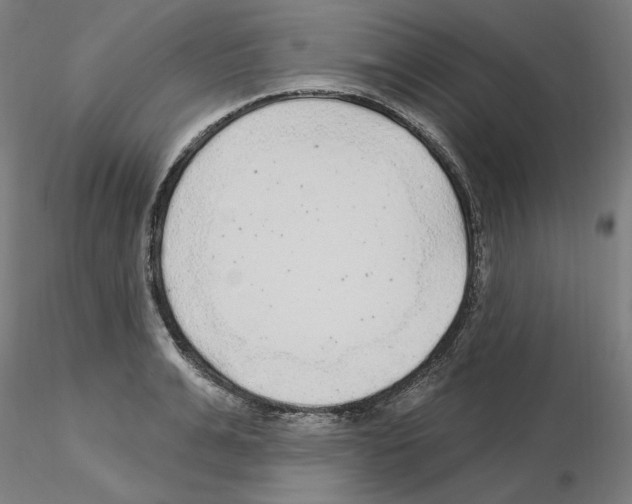 X0000115630991200912221245