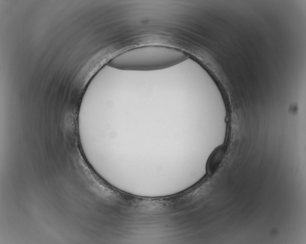 X0000115630993200912221245