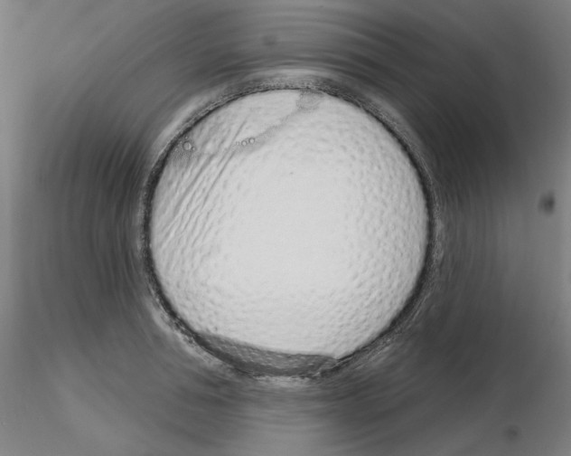 X0000115630994200912221245