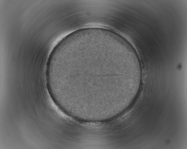 X0000115630995200912221245