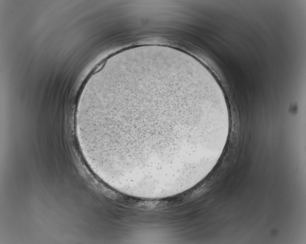 X0000115631000200912221245