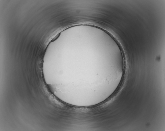 X0000115631001200912221245