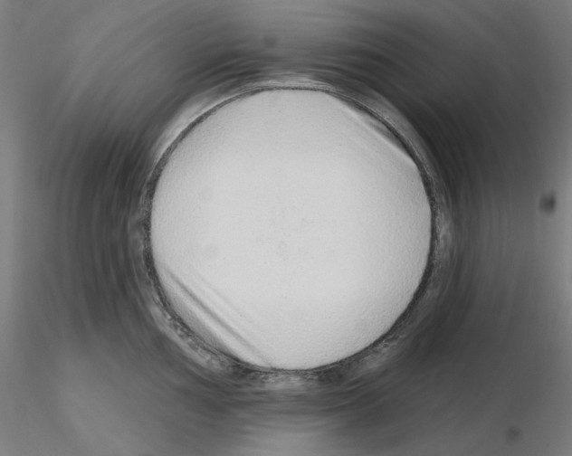 X0000115631002200912221245