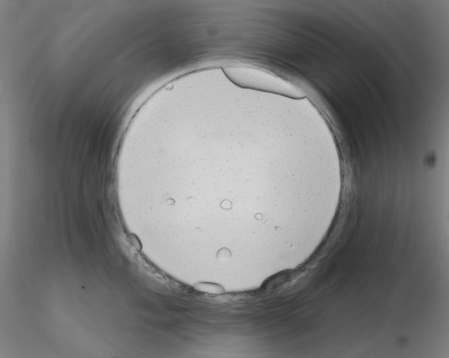 X0000115631004200912221245