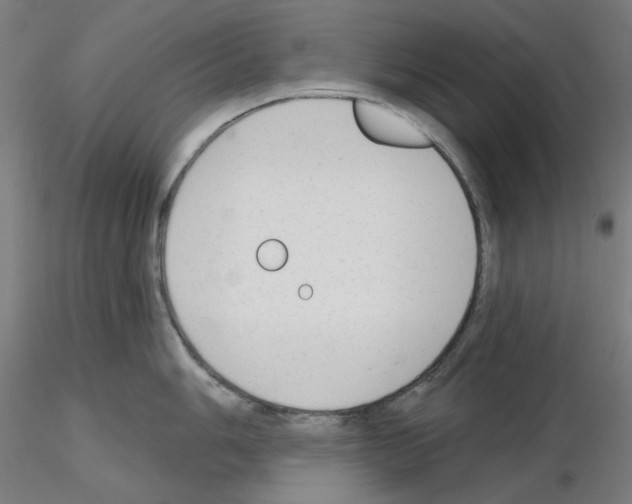 X0000115631006200912221245