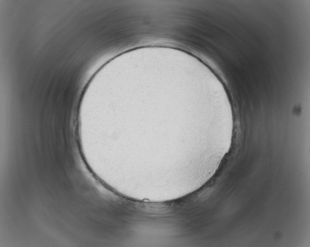 X0000115631007200912221245