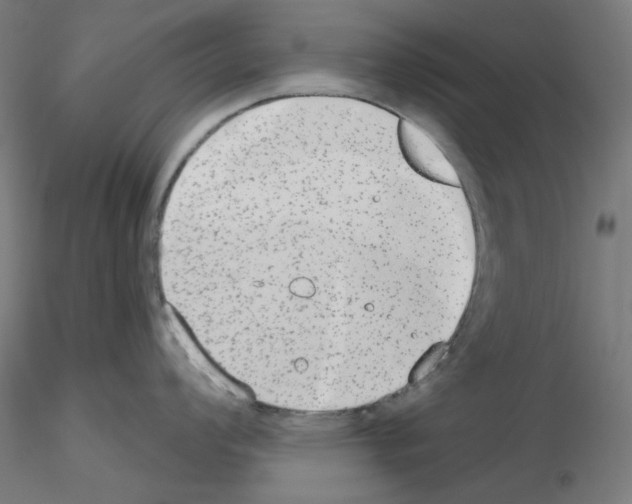 X0000115631008200912221245