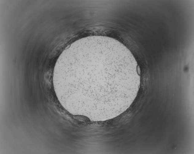 X0000115631010200912221244