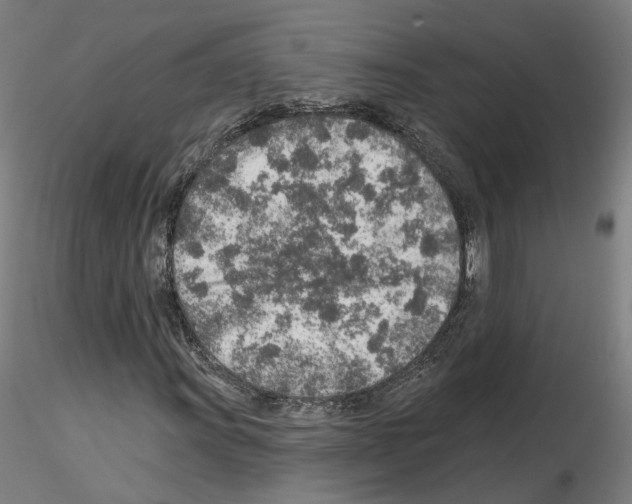 X0000115631011200912221244