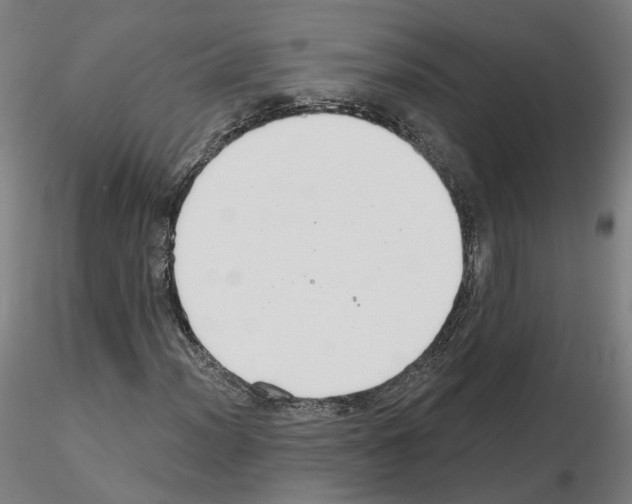 X0000115631012200912221244