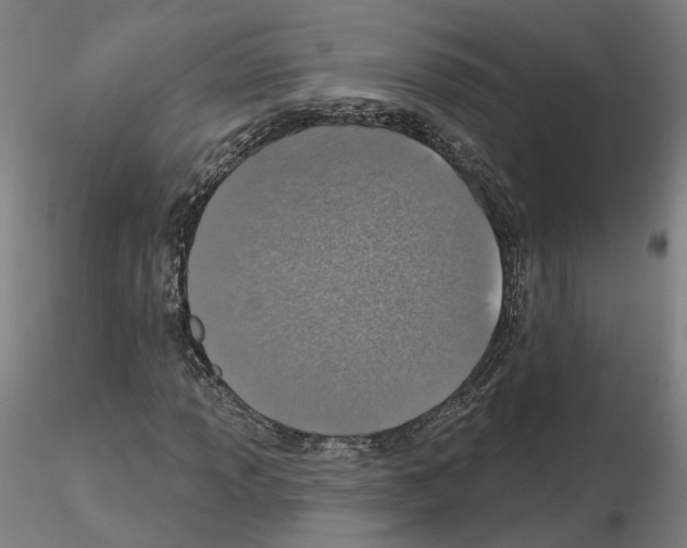 X0000115631013200912221244