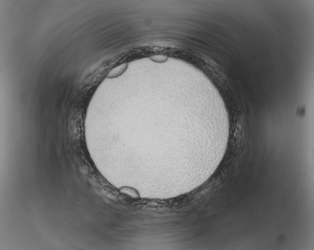 X0000115631014200912221244