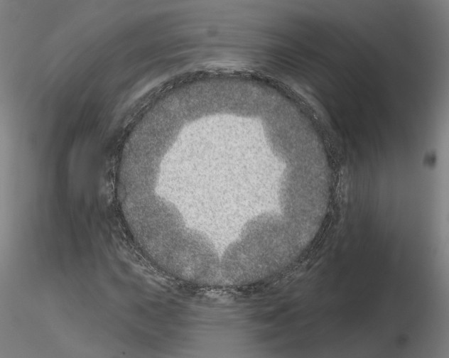 X0000115631015200912221244