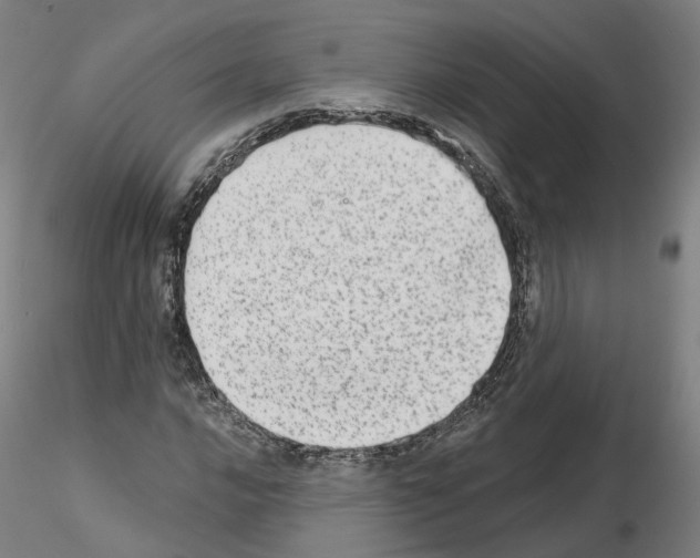 X0000115631016200912221244