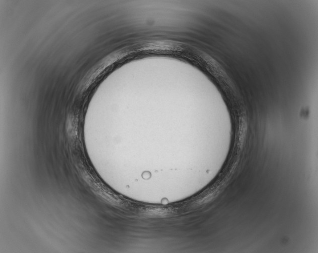 X0000115631017200912221244