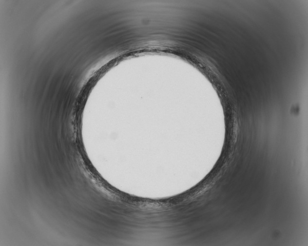 X0000115631018200912221244