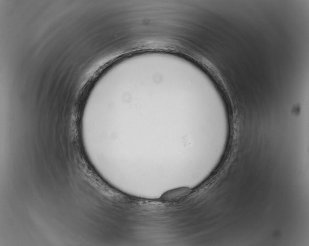 X0000115631019200912221245