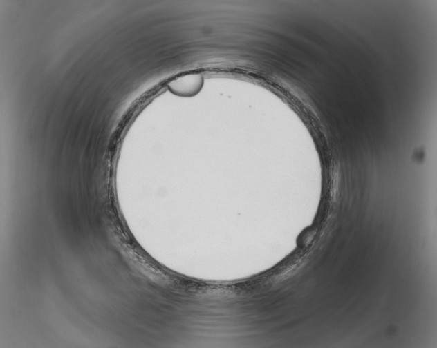 X0000115631021200912221245
