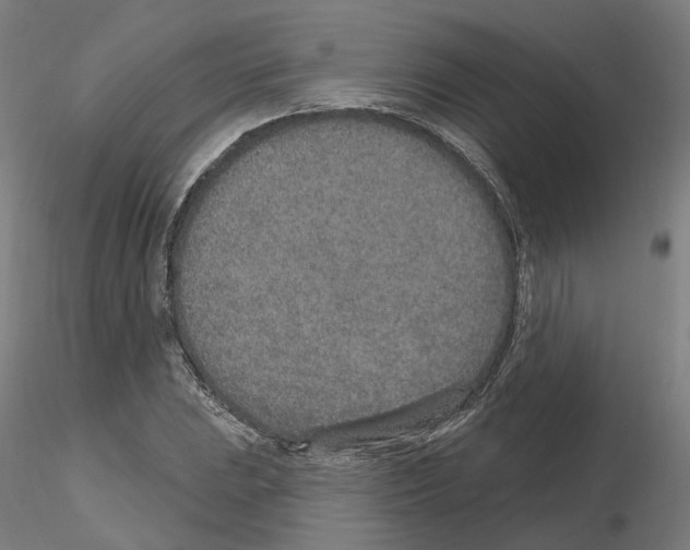 X0000115631023200912221245