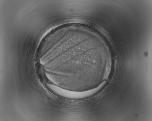 X0000115631024200912221245