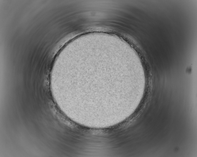 X0000115631025200912221245