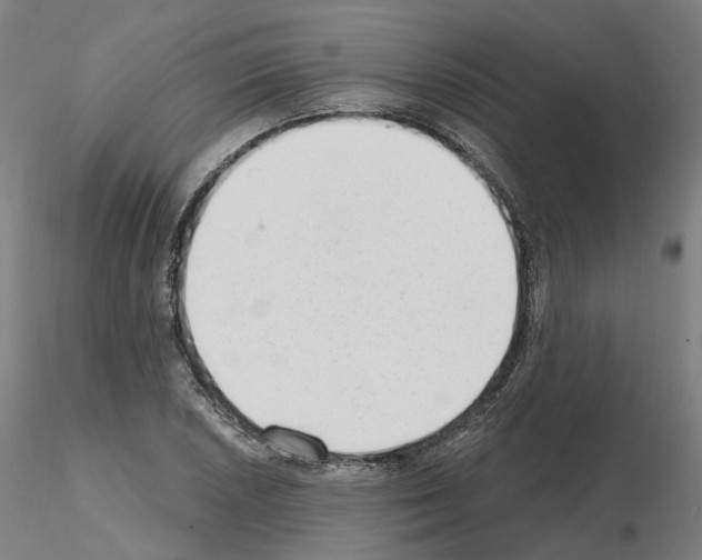 X0000115631026200912221245