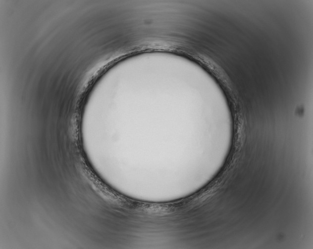 X0000115631027200912221245