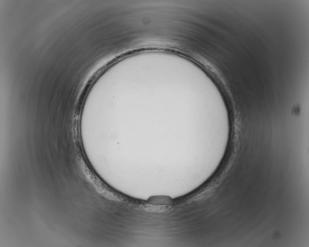 X0000115631029200912221245