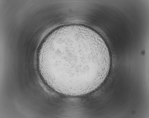 X0000115631031200912221245