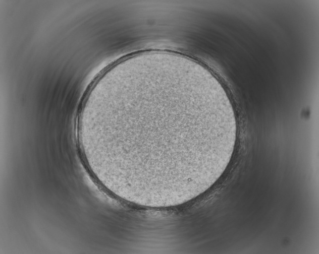X0000115631032200912221245