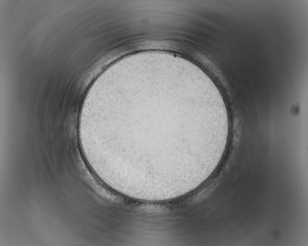 X0000115631033200912221245