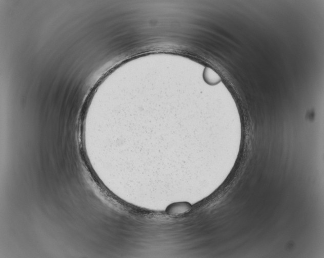 X0000115631034200912221245