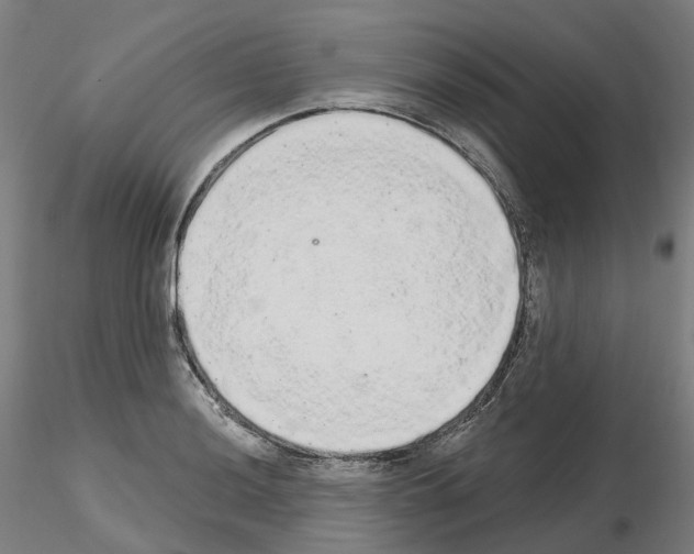X0000115631036200912221245