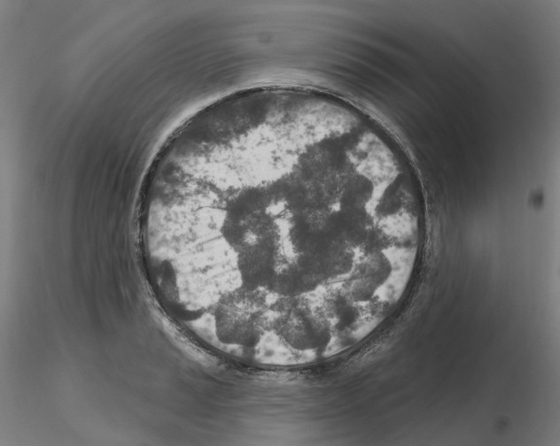 X0000115631037200912221245